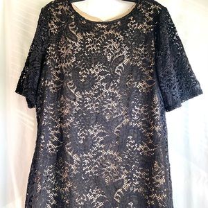 NWT Sharangano black lace dress  SZ 16